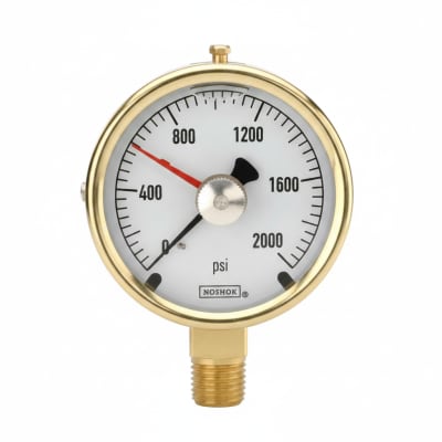 NOSHOK 25-300-800-PSI/KG/CM2-CFF-MIP-BT8