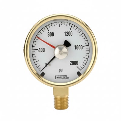 NOSHOK 25-300-800-PSI/KPA-CFF-MIP-BT8