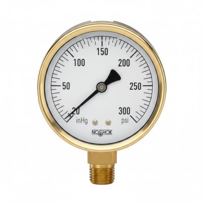 NOSHOK 25-300-2000-PSI-CFF-MIP-BT8