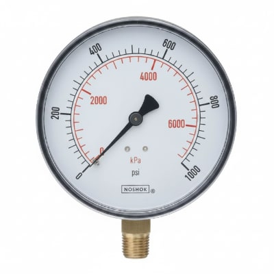 NOSHOK 25-300-2000-PSI/KPA-BFF-MIP-BT8