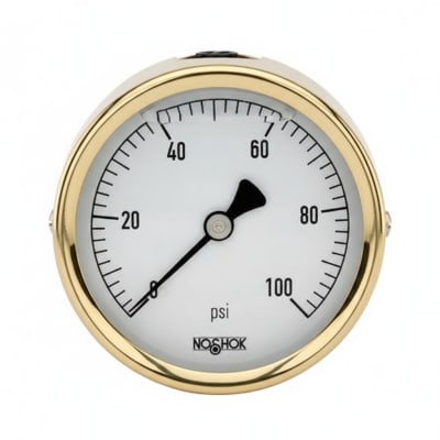 NOSHOK 25-300-2000-PSI/BAR-CFF-MIP