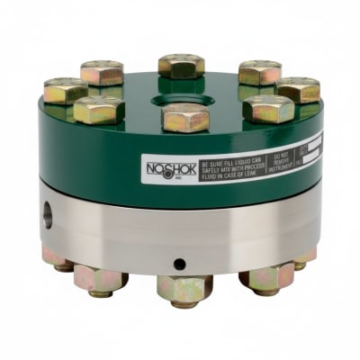 NOSHOK 25-300-30-PSI-BFF-MIP