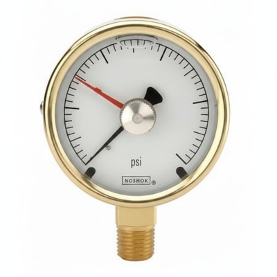 NOSHOK 25-300-30-PSI-CFF-MIP-BT8-CC