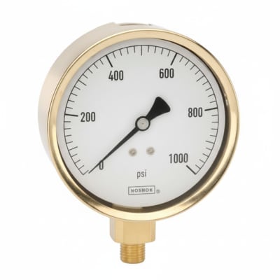 NOSHOK 25-300-30-PSI-BFF-MIP-BT8-CC
