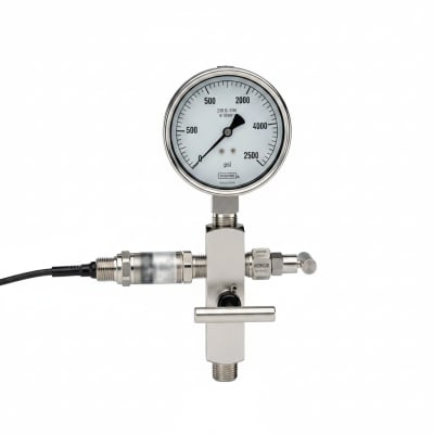 NOSHOK 25-300-2000-PSI/BAR-CFF-BT8