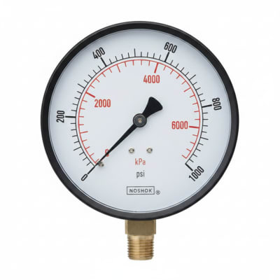 NOSHOK 25-310-30/15-PSI/KG/CM2-CBU-BT8-CC