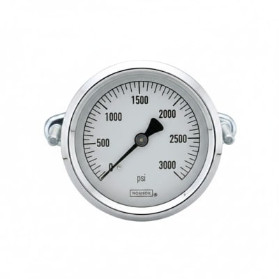 NOSHOK 25-310-30/100-PSI/BAR-MIP-BT8-CC