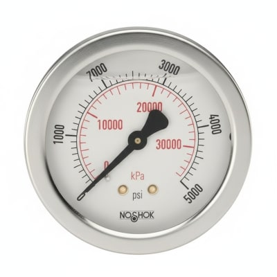 NOSHOK 25-310-30/100-PSI-DRY