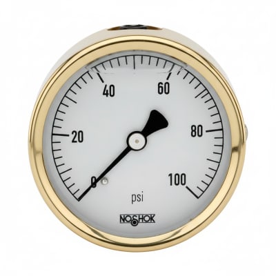 NOSHOK 25-310-30/100-PSI/KPA-GY40
