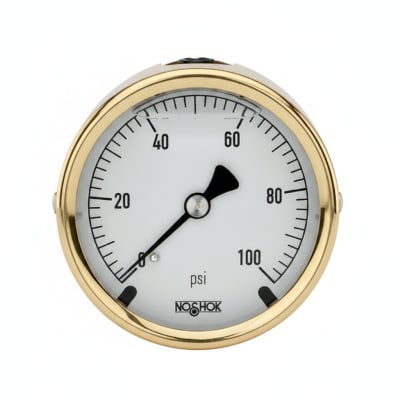 NOSHOK 25-310-30/15-PSI/BAR-MIP-BT8