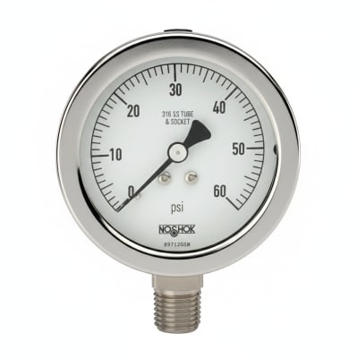 NOSHOK 25-410-30/100-PSI/KG/CM2-SG