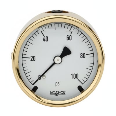 NOSHOK 25-310-30/15-PSI/KPA-GY40-BT8