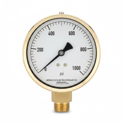 NOSHOK 25-310-30/100-PSI/BAR-MIP-CFF