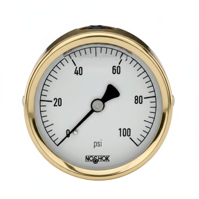 NOSHOK 25-310-30-VAC-SL