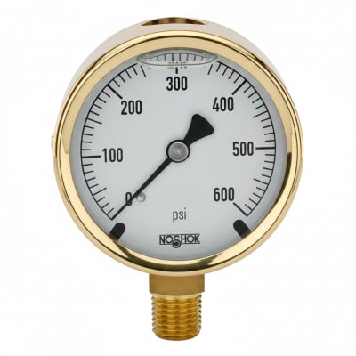 NOSHOK 25-300-100-PSI-SGO-GY40