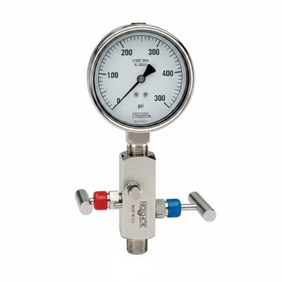 NOSHOK 25-300-100-PSI-RCP