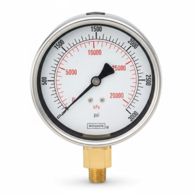 NOSHOK 25-310-30-VAC/KG/CM2-CBU-GY40-BT8-CC
