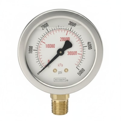 NOSHOK 25-310-30-VAC/KG/CM2-CFF