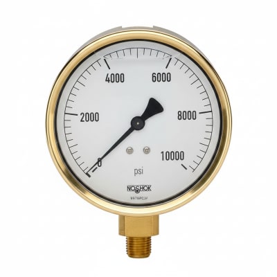 NOSHOK 25-310-30-VAC/KPA-CBU-CC
