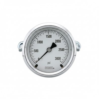 NOSHOK 25-310-30-VAC/KPA-MIP-BT8-CC