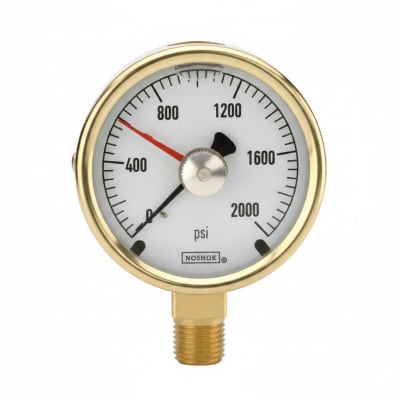 NOSHOK 25-310-30-VAC/KG/CM2-MIP-CFF-BT8