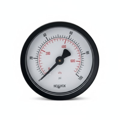 NOSHOK 25-310-30-VAC/KPA-DRY