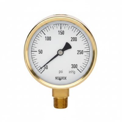 NOSHOK 25-300-400-PSI/BAR-BFF-BT8