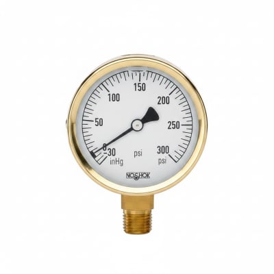 NOSHOK 25-300-400-PSI/KG/CM2-BFF-MIP-BT8-CC