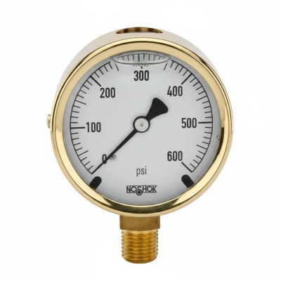 NOSHOK 25-300-400-PSI/BAR-CFF