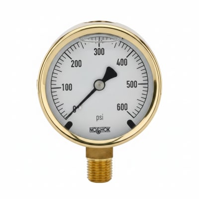 NOSHOK 25-300-400-PSI/BAR-CFF-BT8