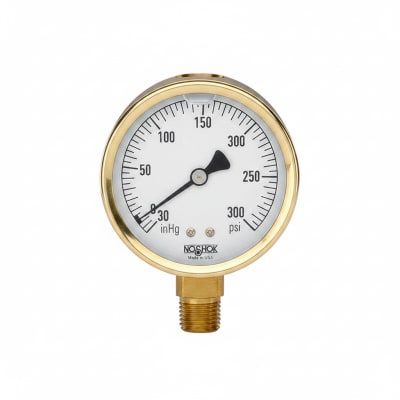 NOSHOK 25-300-400-PSI/BAR-BFF-MIP