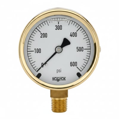 NOSHOK 25-300-400-PSI/KPA-CFF