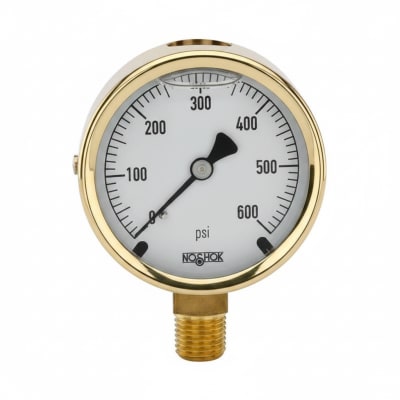 NOSHOK 25-300-400-PSI/BAR-CFF-CC