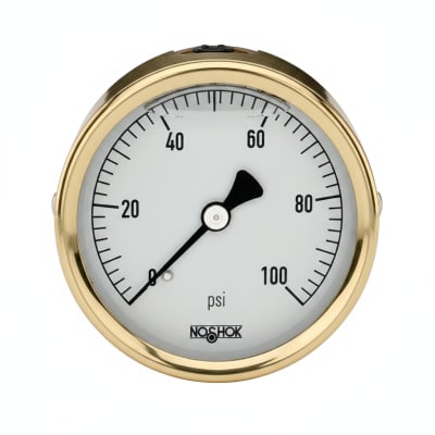 NOSHOK 25-310-30/300-PSI-BFF-BT8