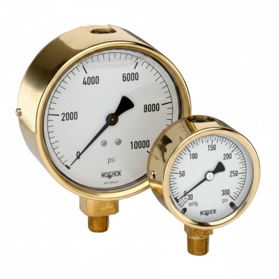 NOSHOK 25-300-400-PSI/KG/CM2-CFF-CC