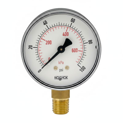 NOSHOK 25-100-30-VAC/BAR-BCR-BP3