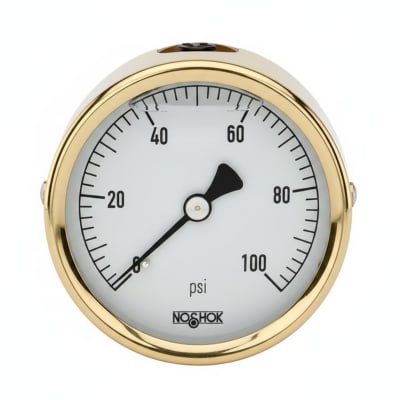 NOSHOK 25-310-1000-PSI/BAR-GY40-BT8