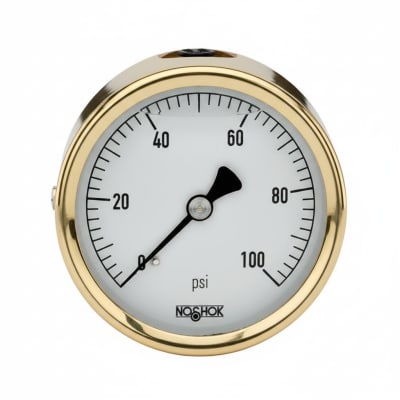 NOSHOK 25-310-1000-PSI/BAR-SL