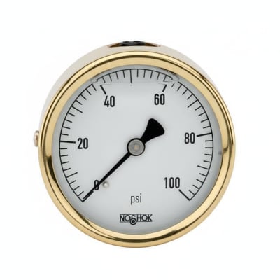 NOSHOK 25-310-1000-PSI/BAR-CFF-BT8