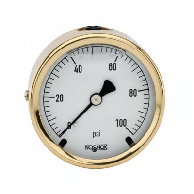 NOSHOK 25-310-1000-PSI/BAR-MIP-CFF-CC