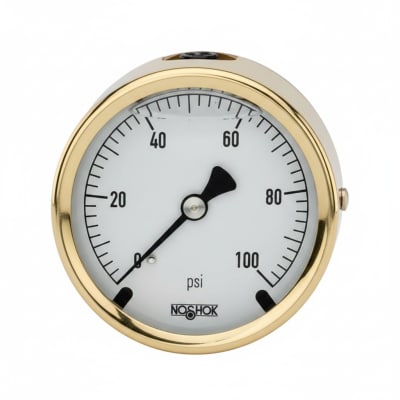 NOSHOK 25-310-1000-PSI/BAR-MIP-CC