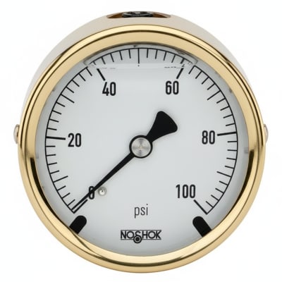 NOSHOK 25-310-1000-PSI/BAR-MIP-BT8