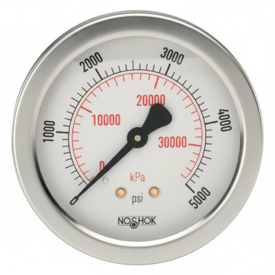 NOSHOK 25-310-1000-PSI/KPA-BFF-BT3