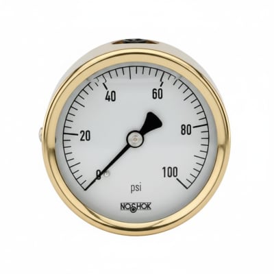 NOSHOK 25-310-1000-PSI/KPA-GY40
