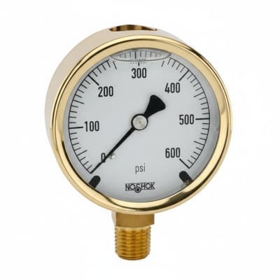NOSHOK 25-310-1000-PSI/KPA-MIP-BFF