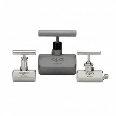 NOSHOK 40-400-400-PSI/KG/CM2-1/4-ST5-CC