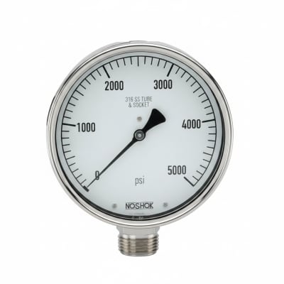 NOSHOK 40-400-400-PSI/KPA-1/4-SSFF