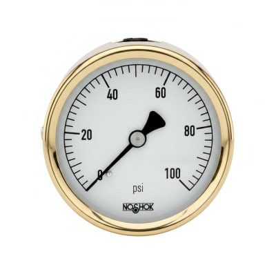 NOSHOK 25-310-30/160-PSI/BAR-MIP-BT8