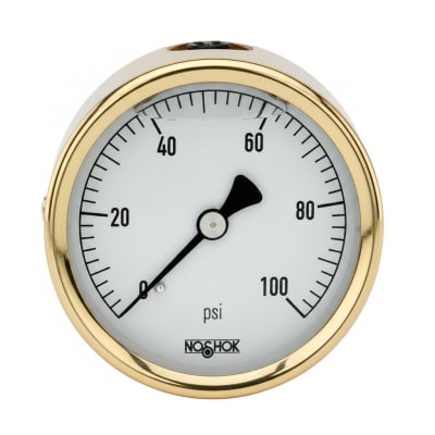 NOSHOK 25-310-30/160-PSI/BAR-MIP-CBU-BT8
