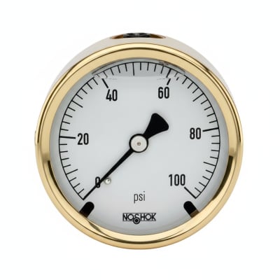 NOSHOK 25-310-30/160-PSI/BAR-CBU-GY40-BT8